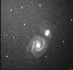 M51